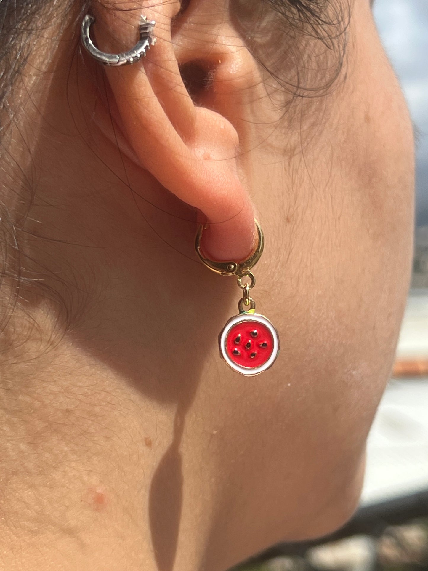 Watermelon Earrings