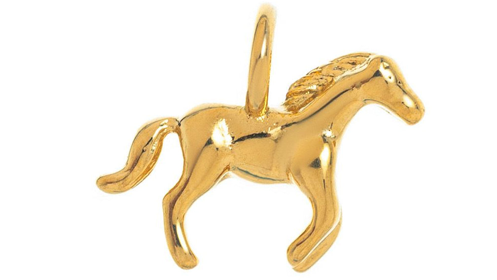 Wild Spirit Charm