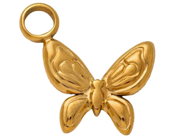 Dream Wings Charm