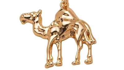 Desert Soul Charm