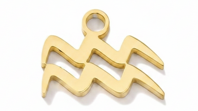Aquarius Charm