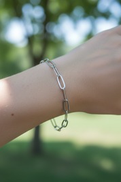 Paperclip Chain