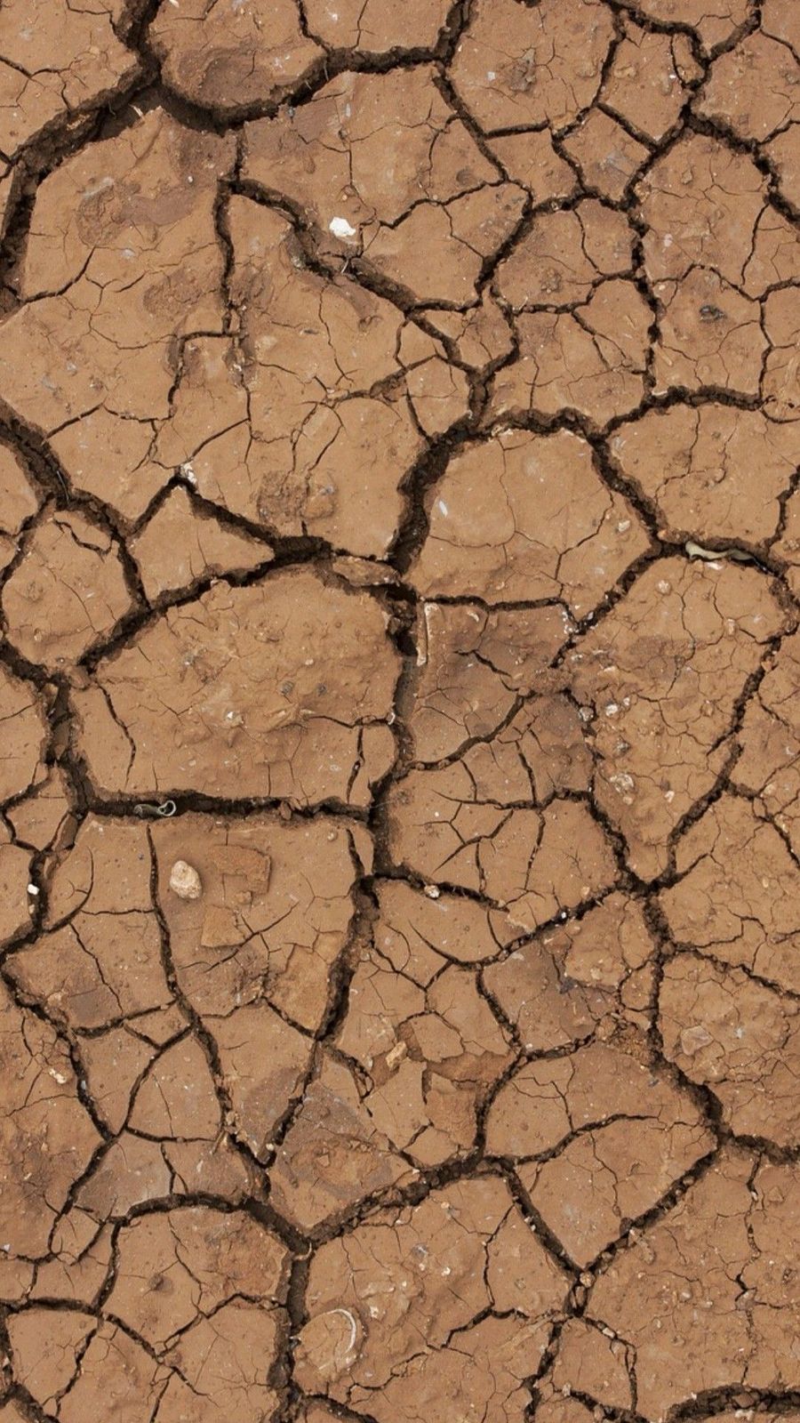 soil_background.jpg